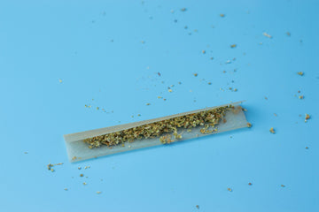 Unraveling the Truth: Is Smoking Paper Bad for You? - Empire Rolling Papers
